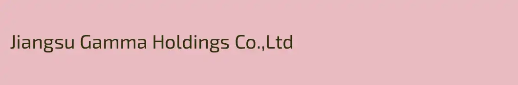Jiangsu Gamma Holdings Co.,Ltd